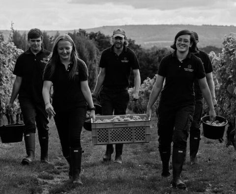 Nyetimber Blanc de Blancs Brut 2016