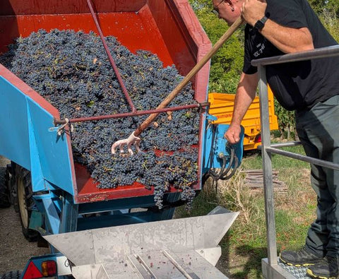 Saint Emilion Grand Cru AOC 2016, Chateau Haut Rocher