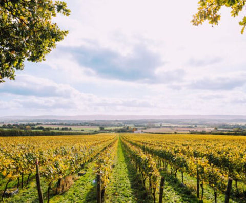 Nyetimber Blanc de Blancs Brut 2017