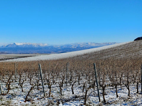 Rioja Alta DOCa Blanco Lagar de Cayo 2024, Quiroga de Pablo