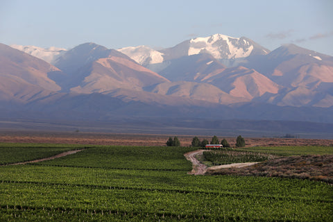 Malbec Reserva 2024, Alta-Yari