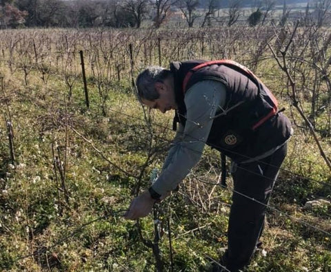 Chateauneuf-du-Pape AOC Vin di Félibre 2022, Domaine André Mathieu