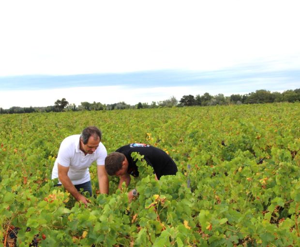 Châteauneuf-du-Pape AOC 2021, Domaine André Mathieu