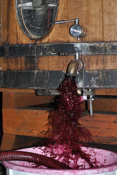 Pinot Noir VdF 2023, Angel Falls