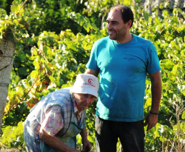 Mencia DO Monterrei 2024, Antonio Montero