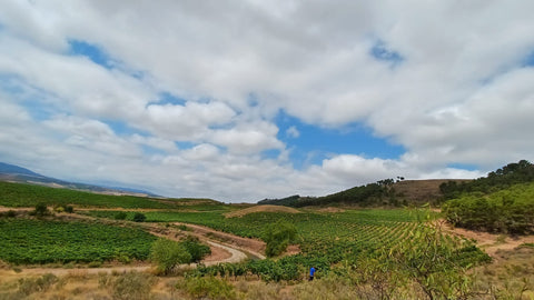 Rioja Alta DOCa Crianza Lagar de Cayo 2020, Quiroga de Pablo