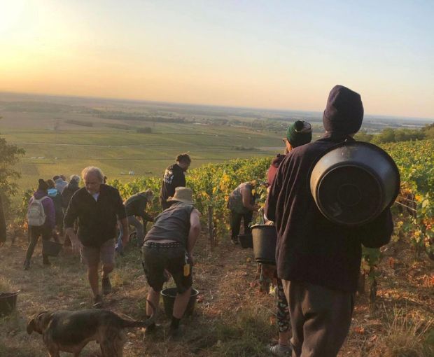 Nuits-Saint-Georges AOC Les Terrasses des Vallerots 2018, Bertrand et Axelle Machard de Gramont