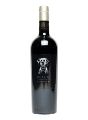 Black Dalmatian 2022, Saint Hills