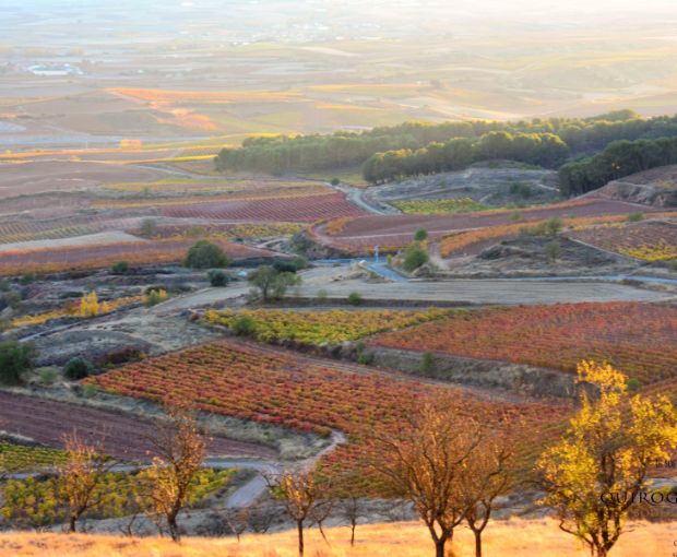 Rioja Alta DOCa Crianza Lagar de Cayo 2021, Quiroga de Pablo