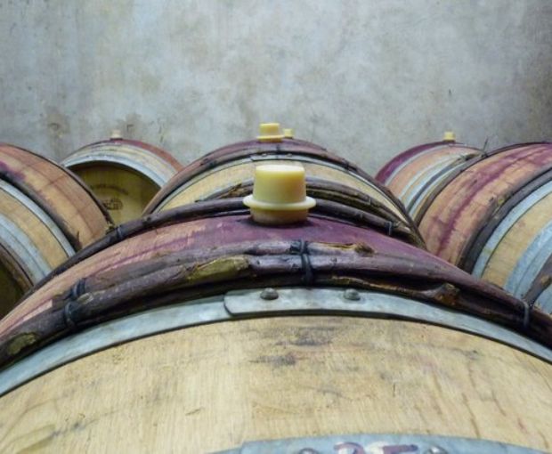 Morgon Corcelette Cuvee Thaddeus AOP 2015, Renaud Bodillard