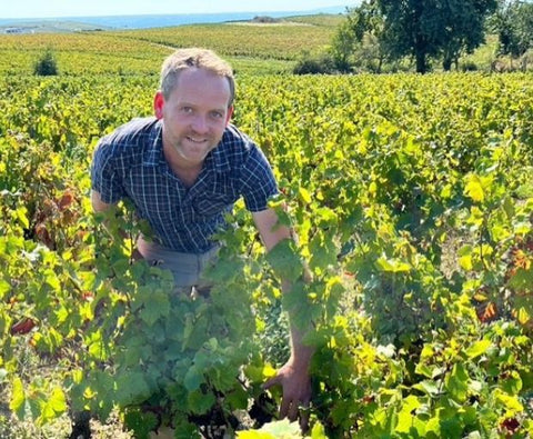 Beaujolais Les Seves Cuvée IIIB AOP 2018, Renaud Bodillard