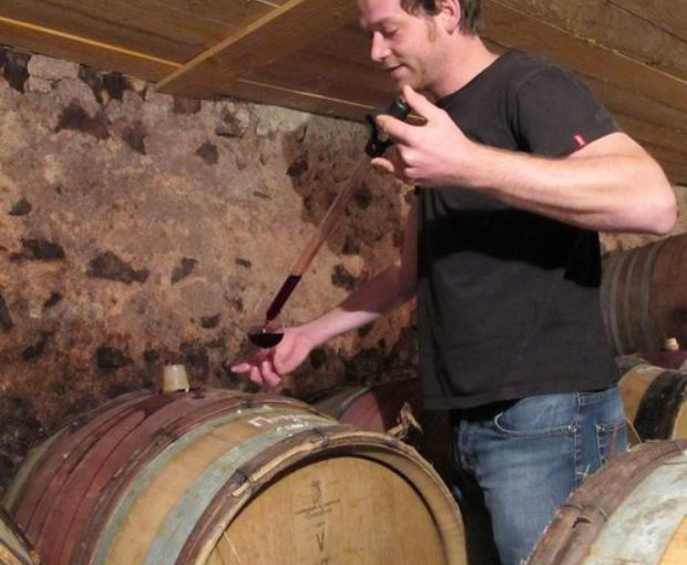 Morgon Corcelette Cuvee Thaddeus AOP 2015, Renaud Bodillard