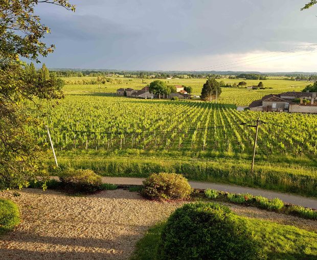 Castillon Côtes de Bordeaux AOC 2016, Château Bréhat