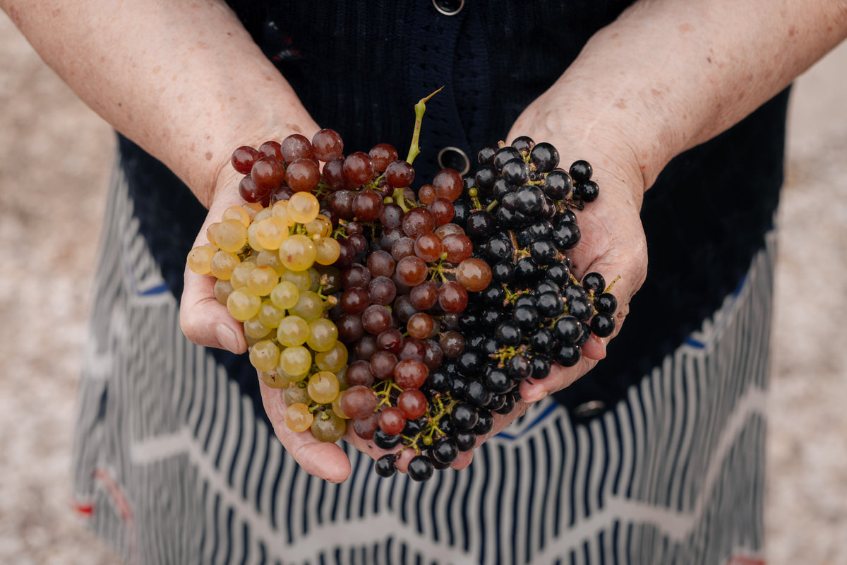 Wine at Home