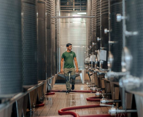 Pinot Grigio delle Venezie DOC 2024, Podere Dei Sogni