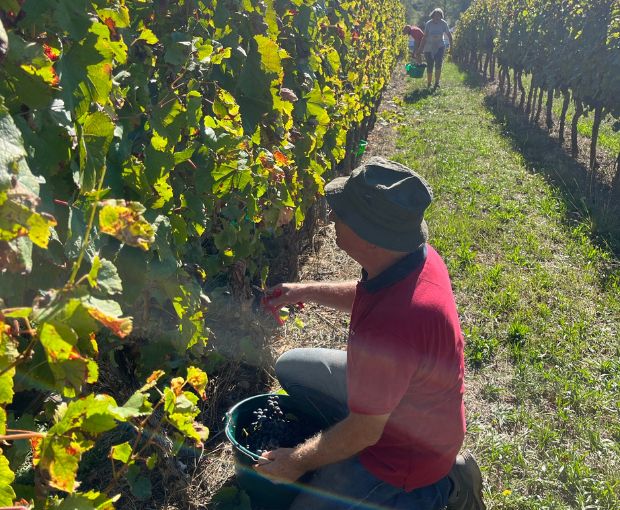 Malbec Cahors AOC 2020, Clos du Colombier