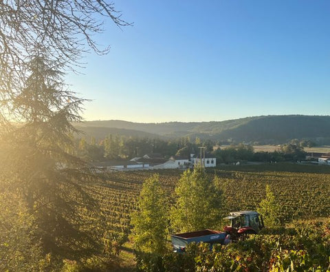 Malbec Cahors AOC 2020, Clos du Colombier