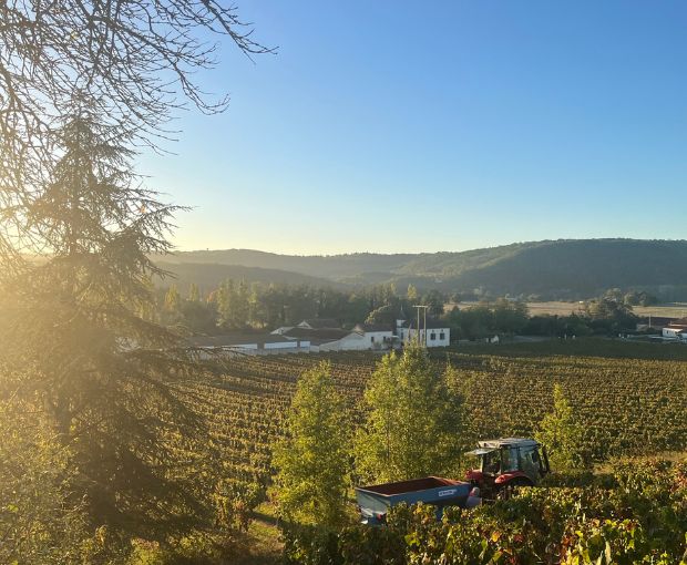 Malbec Cahors AOC 2020, Clos du Colombier
