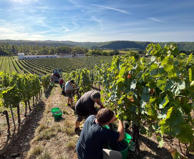 Malbec Cahors AOC 2020, Clos du Colombier