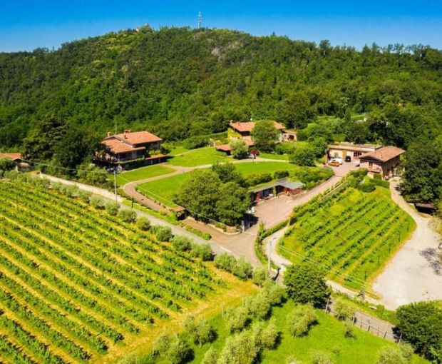 Franciacorta DOCG Brut, Castelveder