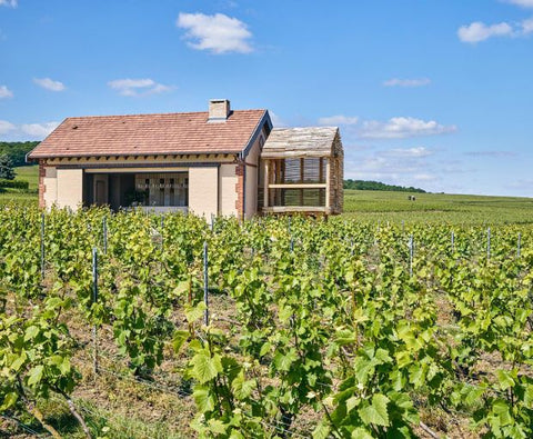 Champagne Krug Grande Cuvée Brut