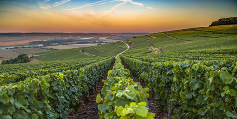 Champagne & Sparkling wines from Wine at Home