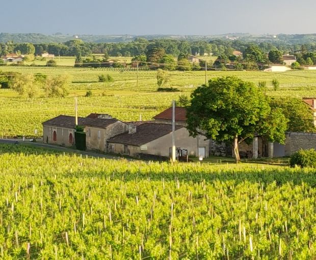 Castillon Côtes de Bordeaux AOC 2016, Château Bréhat