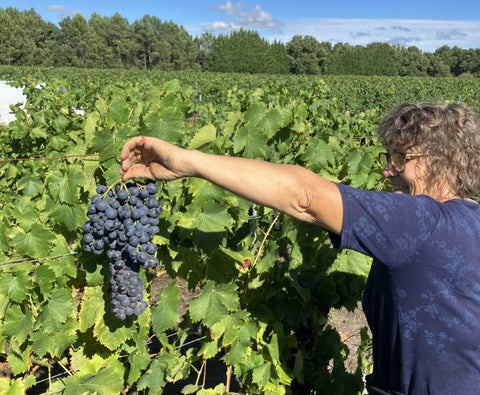 Bordeaux AOC 2022, Chateau La Croix du Grand Jard