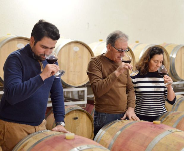 Bordeaux AOC 2022, Château La Croix du Grand Jard