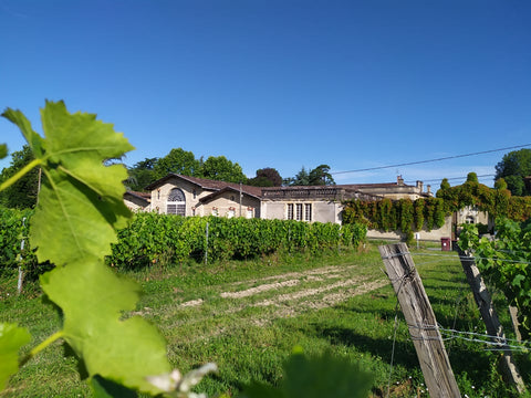 Cuvee Nicolas Margaux AOC 2019, Château Tayac