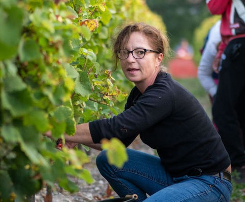 Le Retout Blanc VdF 2018, Château du Retout