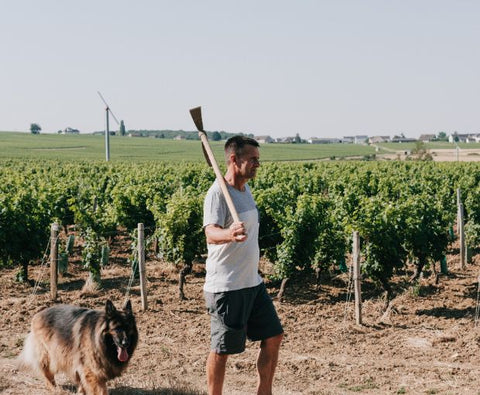 Pouilly Fume AOC Les Croqloups 2024, Domaine Chauveau