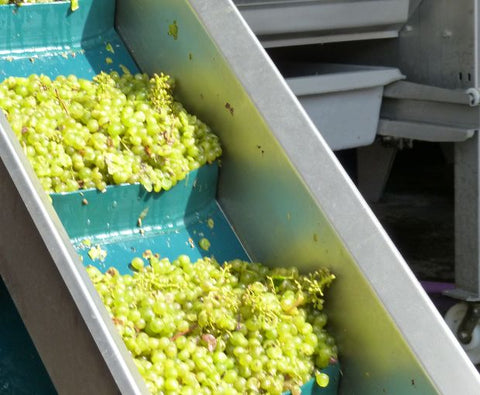 Pouilly Fume AOC Les Croqloups 2024, Domaine Chauveau