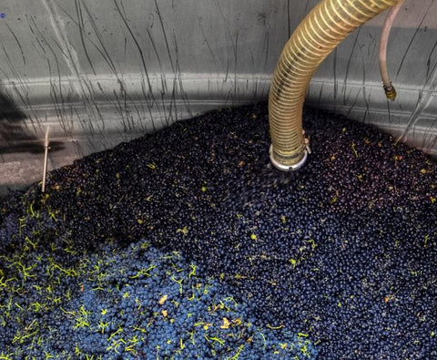 Côte-Rôtie AOP Promesse 2020, Domaine Christophe Pichon