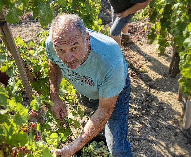 Cornas AOP Allegorie 2016, Domaine Christophe Pichon