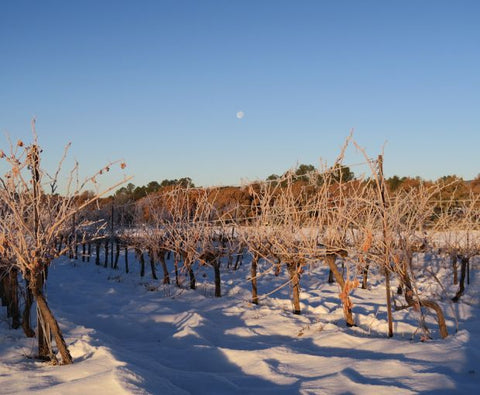 Coteaux Varois en Provence AOP 2023, La Clémencière