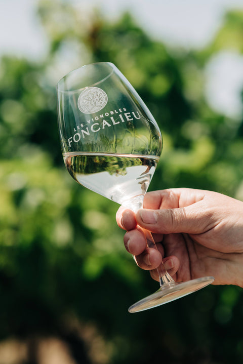 Saint Laurand Collection Privée VdF 2024 White, Les Celliers de Corneille