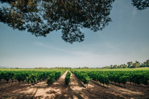 Saint Laurand Collection Privée VdF 2022 Rouge, Les Celliers de Corneille