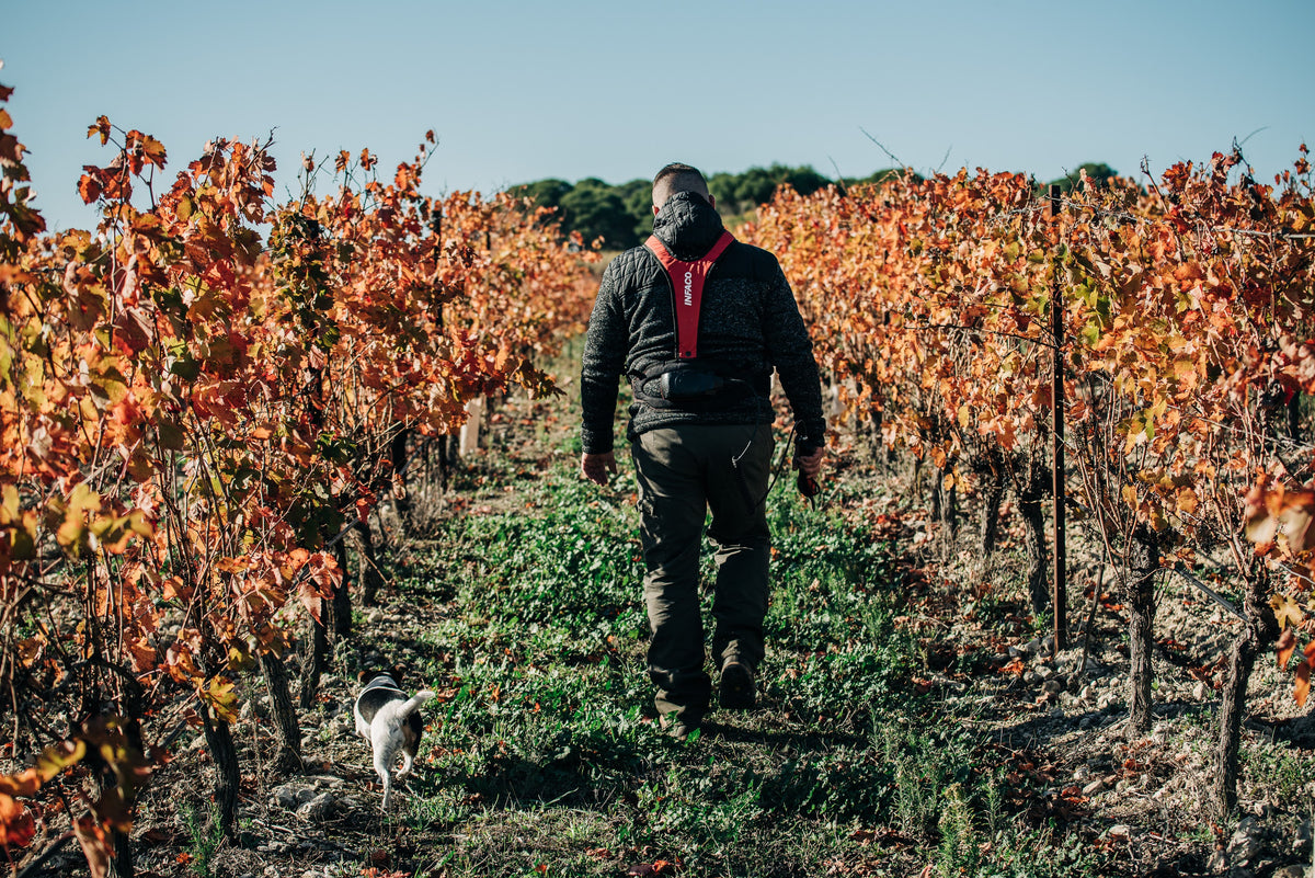 Saint Laurand Collection Privée VdF Rosé 2025, Les Celliers de Corneille