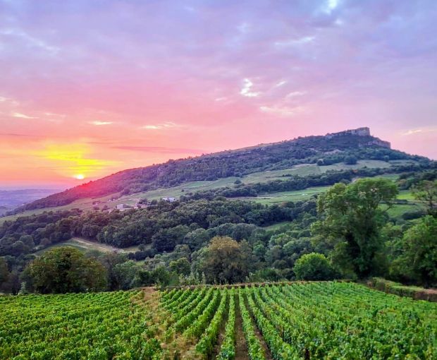 Pouilly-Fuissé 1er Cru AOP En Servy 2022, Denis Bouchacourt – Wine