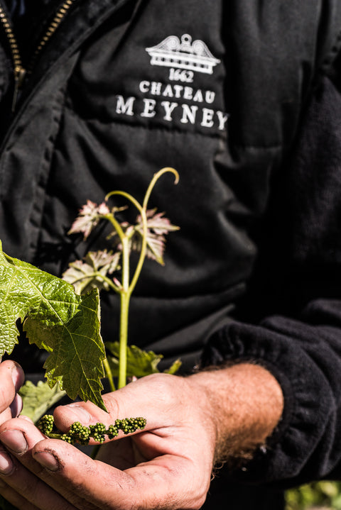 Saint-Estèphe AOC 2020, Les Hauts de Meyney