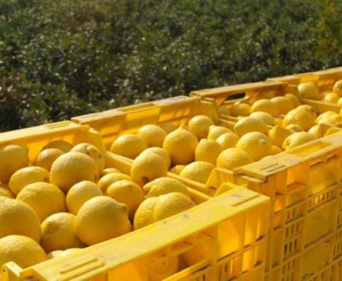 Limoncino, Erre di Erre (70cl)