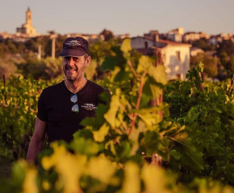 Pecorino Terre di Chieti IGP Le Coste 2025, Tenute del Pojo