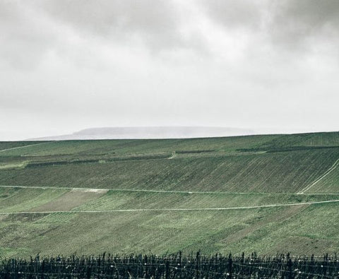 Champagne Dom Pérignon Brut 2015