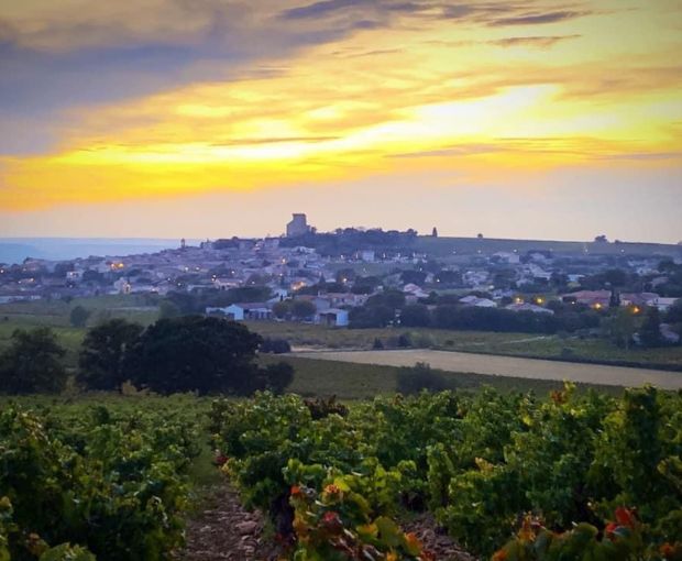 Chateauneuf-du-Pape AOC Vin di Félibre 2022, Domaine André Mathieu