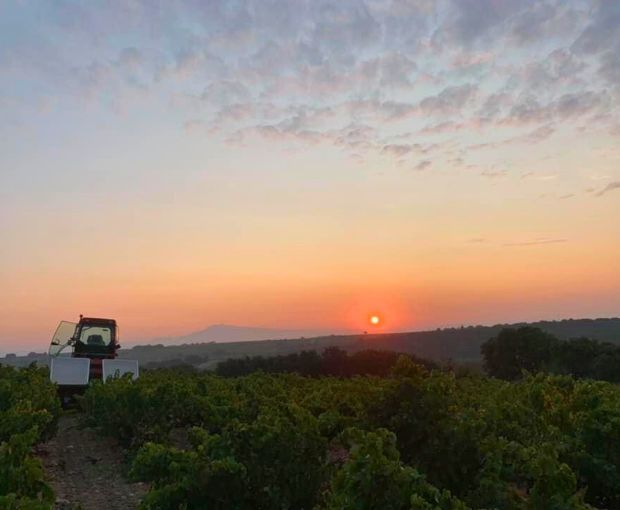 Châteauneuf-du-Pape AOC 2021, Domaine André Mathieu