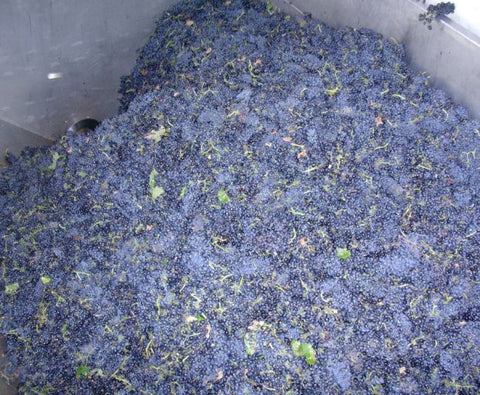 Grenache VdP du Comté de Grignan 2023, Domaine Bois Vieux