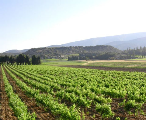 Grenache VdP du Comté de Grignan 2023, Domaine Bois Vieux