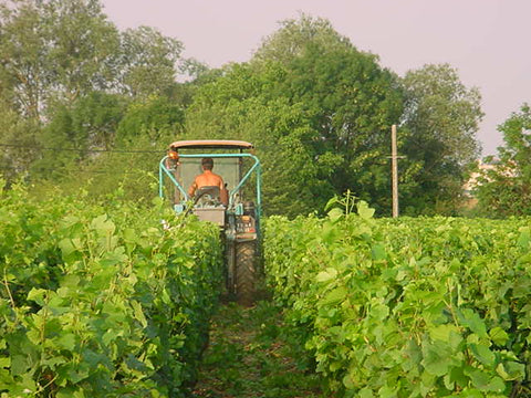 Bourgogne Cote d'Or AOP Pinot Noir 2022, Domaine Laboureau