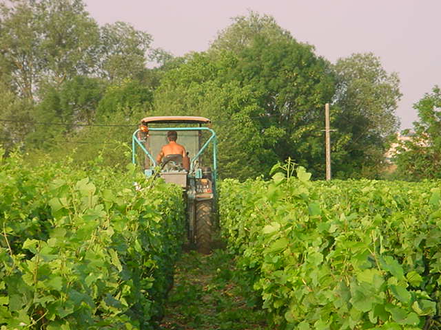 Bourgogne Cote d'Or AOP Pinot Noir 2022, Domaine Laboureau